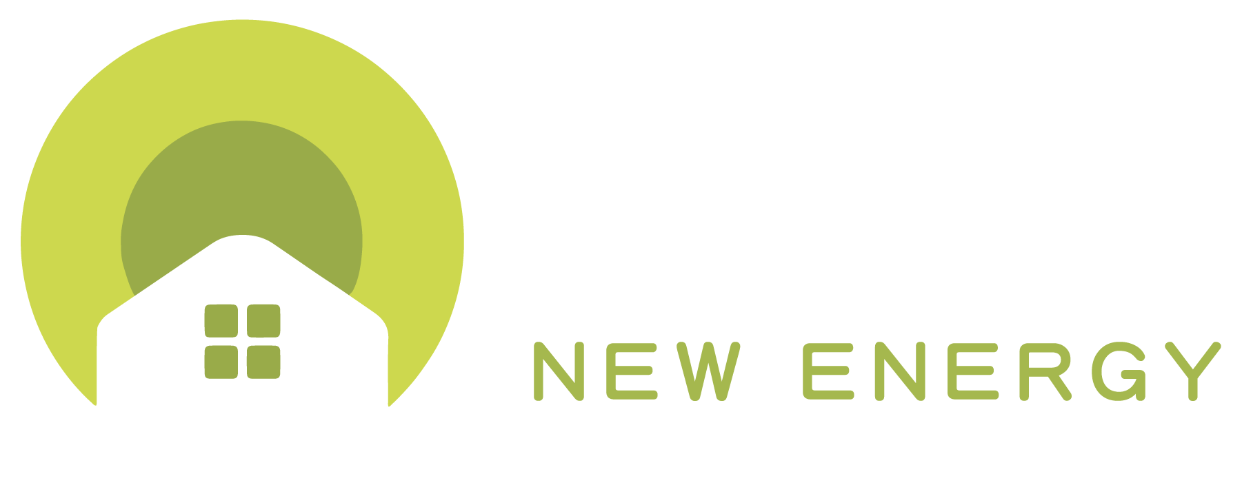 KiWi New Energy logo